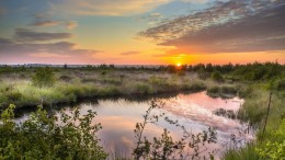 Gebruik landbouwgrond vaker voor woningen