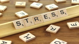 Van stress, naar shock