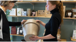 Ambassadeurskracht in publieke arena