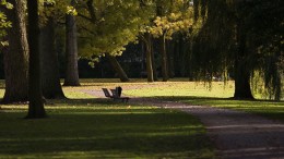 Engels park vooral een jongensding