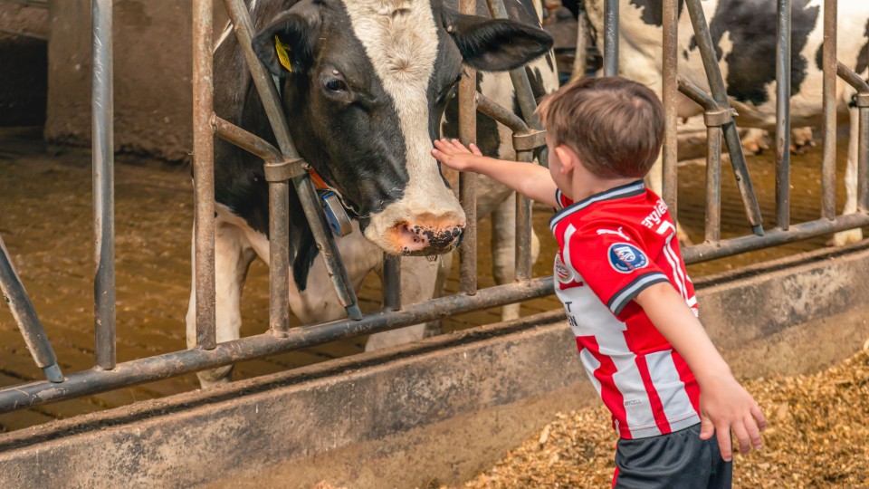Open dag afgelopen zomer op een zorgboerderij bij het Noord-Brabantse dorp Den Hout.