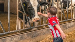 De provincie Brabant schrapt slapende stikstofruimte