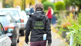 Creëer een groenere buurt met de 3-30-300 vuistregel