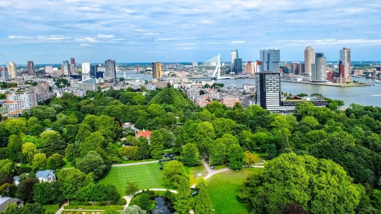 Ruim 600 Rotterdammers willen in wijkraden