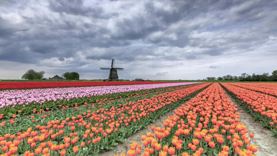 koggenland_shutterstock_436211605