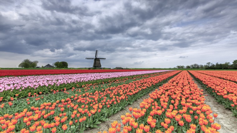 Ambtenaren hebben niet de macht in Koggenland