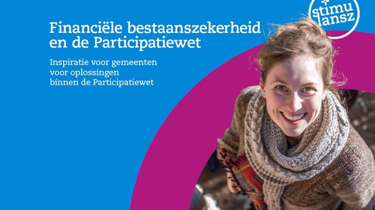 Financiële bestaanszekerheid en de Participatiewet