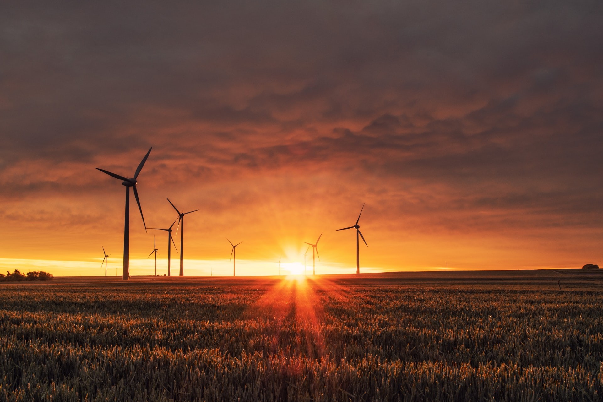 De rol van vraagsturing in het elektriciteitsysteem