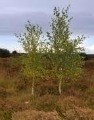 Advies wetsvoorstel natuurbescherming