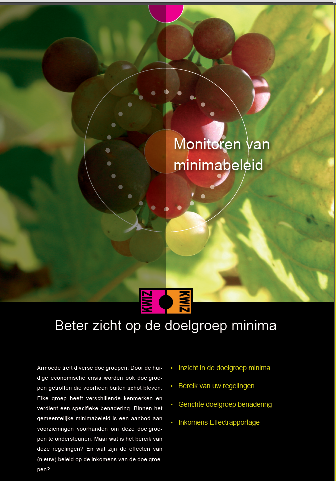 Monitoren van minimabeleid