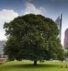 Balans van de Leefomgeving 2012