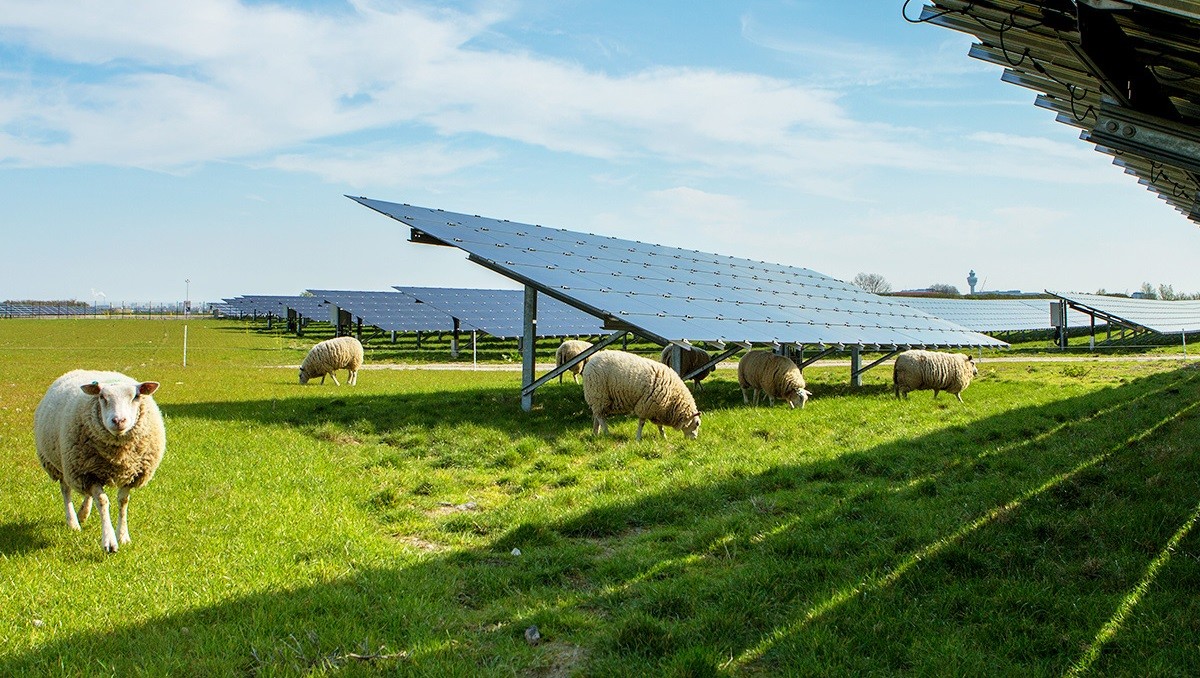 Gezond verstand! Gedragscode Zon op land!