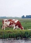 Ruimte voor duurzame landbouw