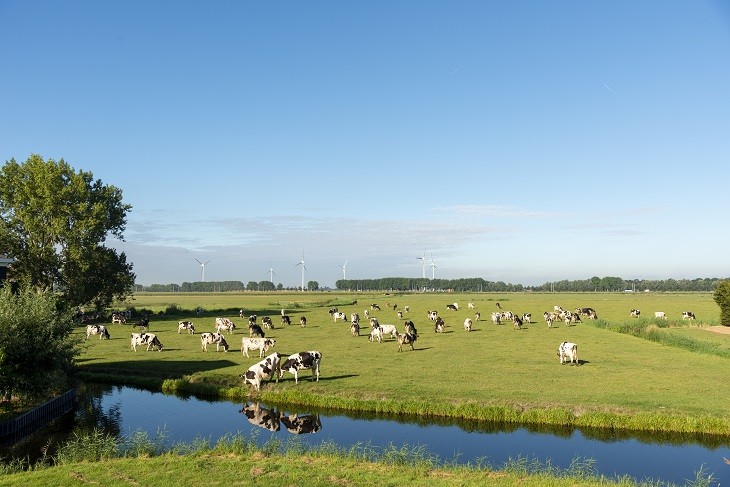 Toekomst voor het landelijk gebied