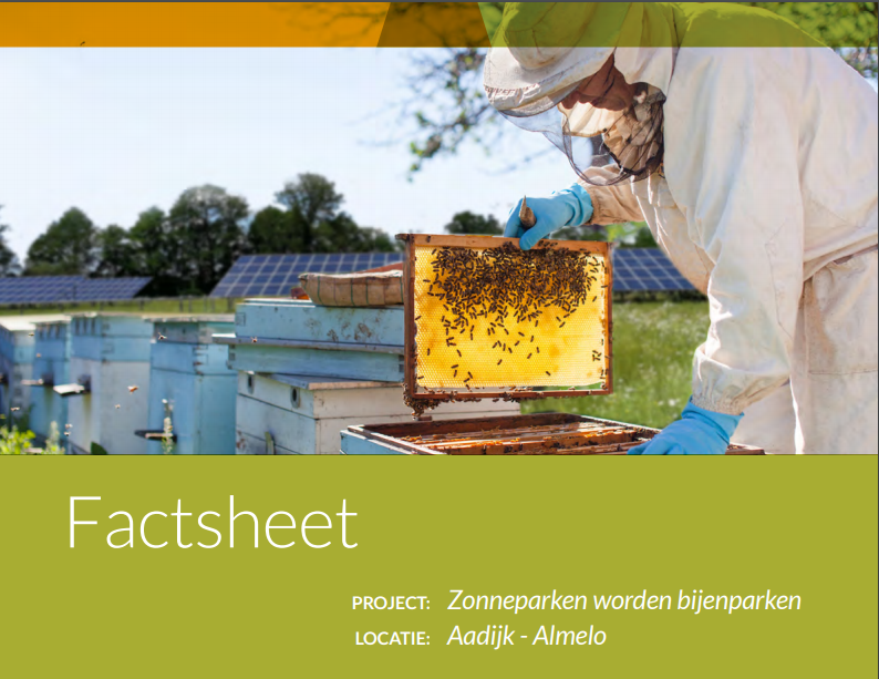 Zonneparken worden bijenparken