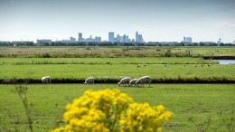 EIB: Hogere stikstofgrens Wiersma levert 23.000 woningen op