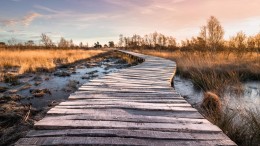 Brabant trekt miljoenen uit voor handel in grond in hoogveengebieden