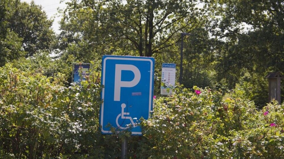 Parkeren voor gehandicapten