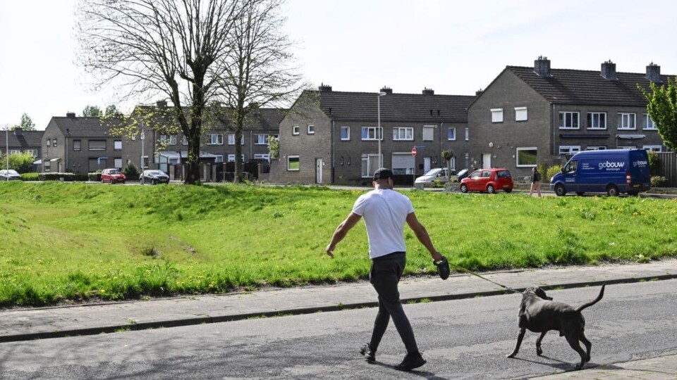 Man loopt met hond aan lijn langs rijtjeshuizen in woonwijk Heerlen-Noord