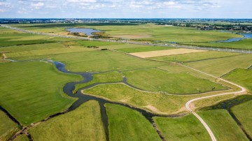 Fusieperikelen bij ontvlechting BUCH