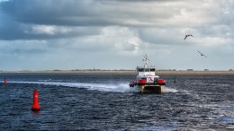 ‘We dreigen de AI-boot te missen’