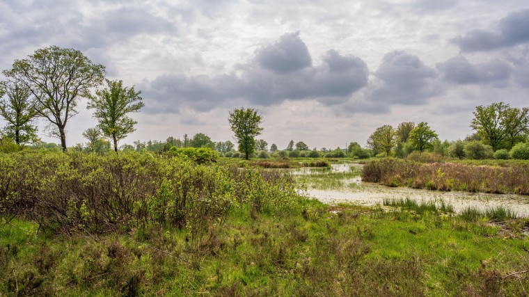 Onzekerheid over de Europese natuurherstelwet