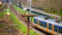 Zuid-Holland ziet gebruik openbaar vervoer toenemen