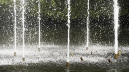 Deltacommissie voorkomt kortetermijndenken overheden