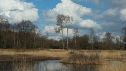 Overijssel haalt miljoenen binnen voor natuurherstel