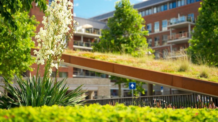 Expertteam helpt gemeenten bij klimaatadaptatie