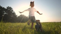 Jeugdzorg: kou is weg liefde moet nog komen