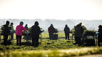 Arbeidsmigrant beter beschermd