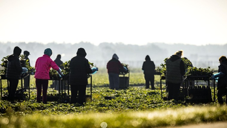 Arbeidsmigrant beter beschermd
