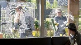 ‘Financier de culturele sector vanuit andere domeinen’