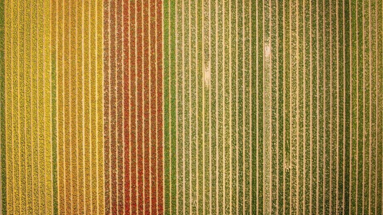 Bollengemeenten: néém de warmtewet aan