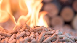 Streep door vergunningen voor nieuwe biomassacentrale