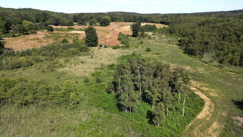 Nationaal Park De Meinweg in Limburg, vlakbij Roermond.