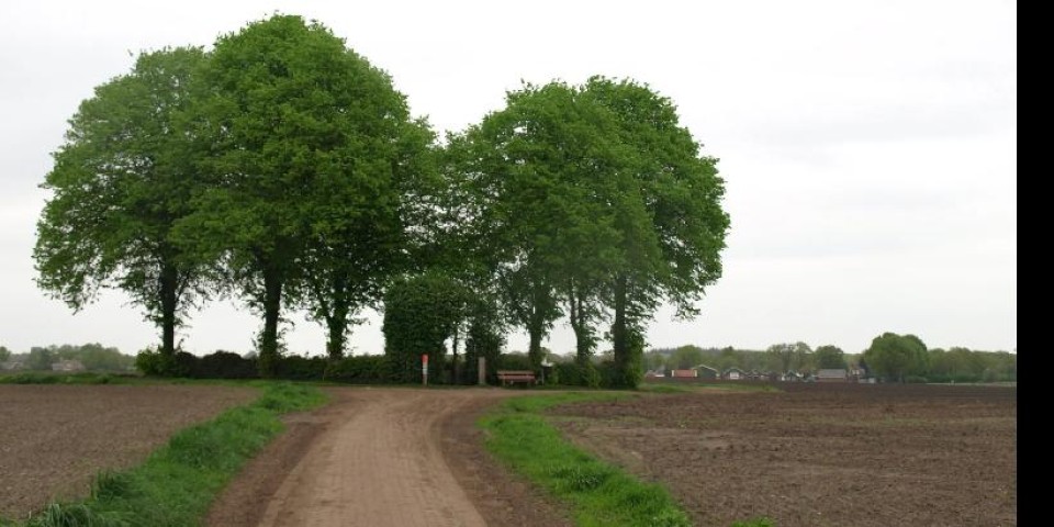Landelijk gebied