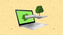 Stikstofspel leert ambtenaar: ‘2030’ is lastig, maar haalbaar