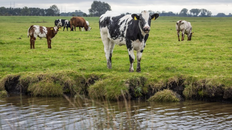 Opnieuw de boodschap: 2027 komt iets te vroeg