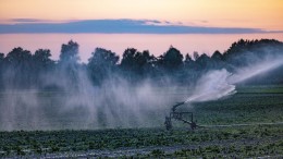 Waterschappen vertellen niet hele verhaal over droogte