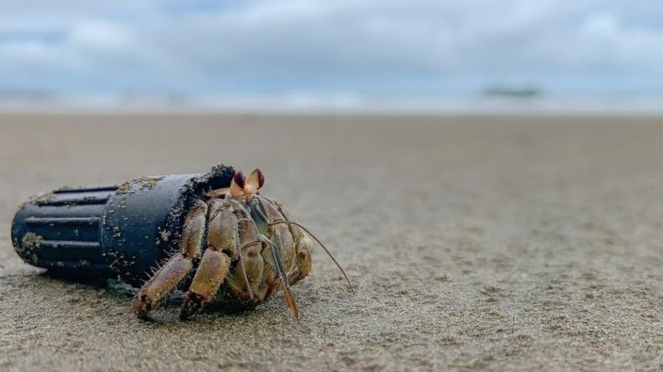 Plastic vuil op het strand 