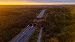 ‘Nederlander wil meer ruimte voor natuur’