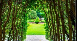 Community of Practice