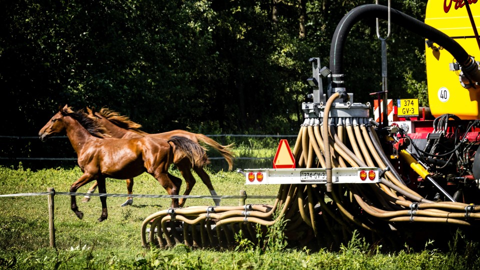 Een loonwerker rijdt mest uit in Mierlo, in Noord-Brabant.