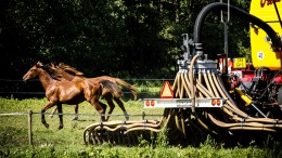 Provincies vinden nog steeds geen ondergrens voor stikstofmodel
