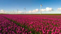 Tussendoelen helpen energietransitie vooruit