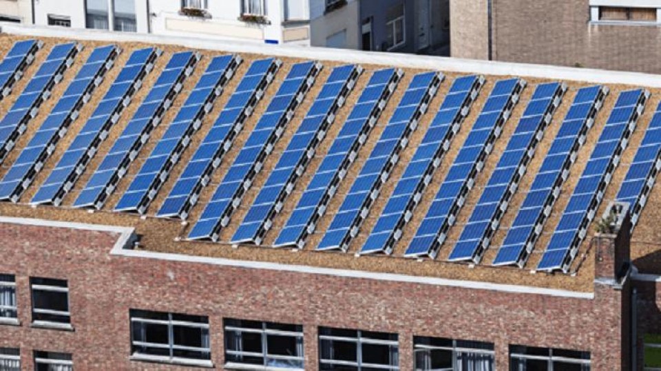 zonnepanelen