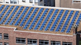 Zelflevering bij lokale en regionale overheden