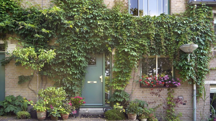 Regels nodig voor klimaatadaptief bouwen